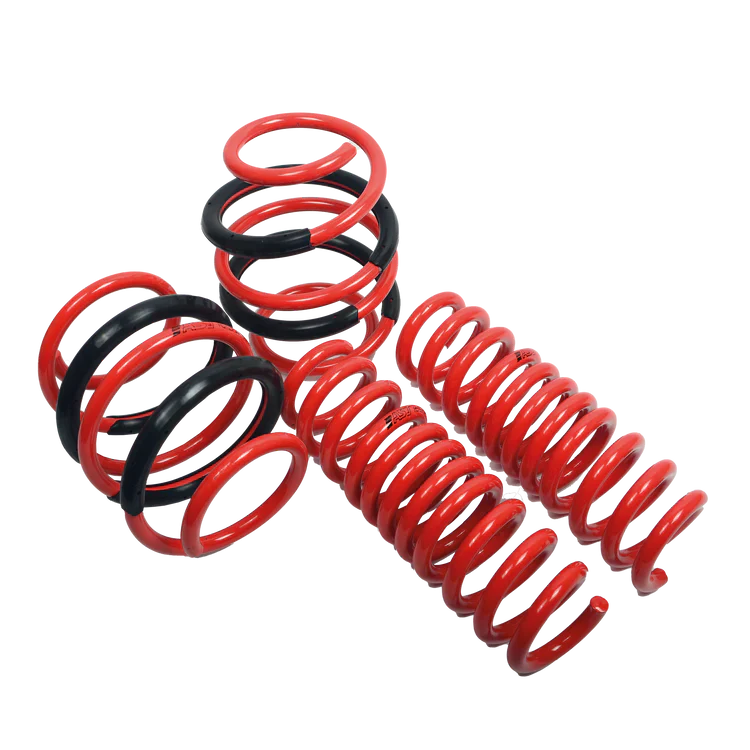 Lowering Springs